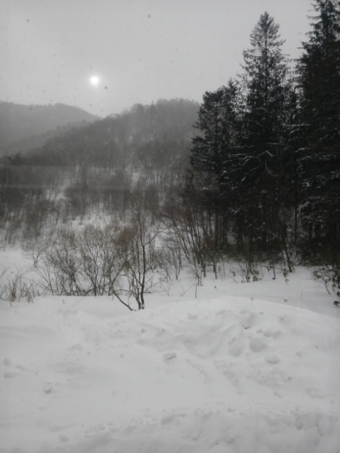 (untitled)