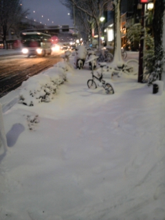 (untitled)