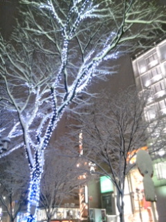 (untitled)