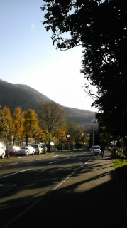 (untitled)