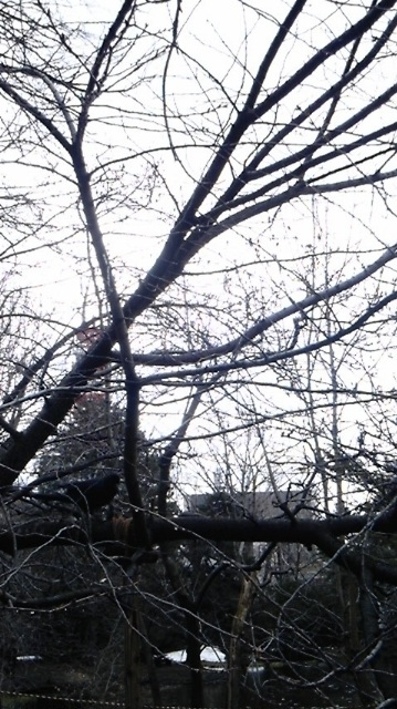 (untitled)