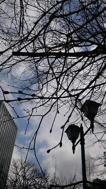 (untitled)