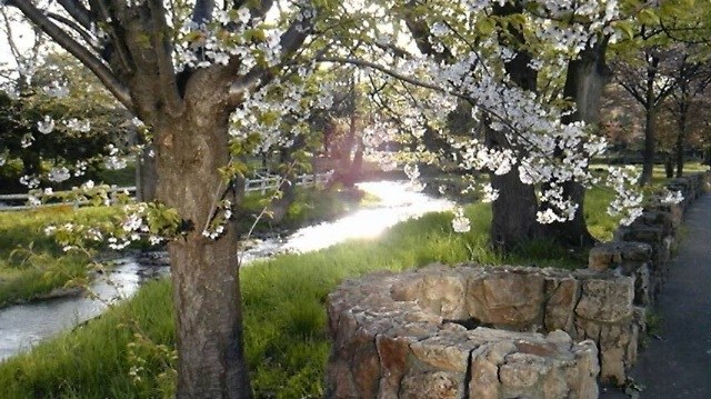 (untitled)