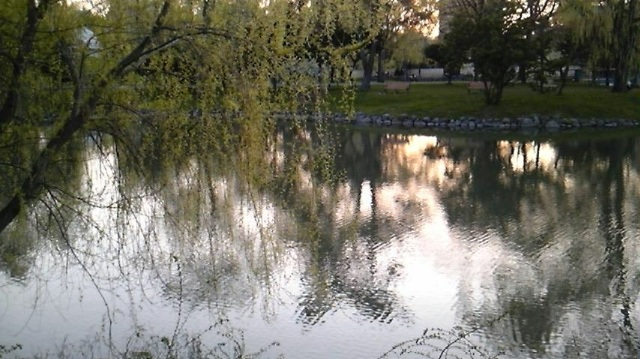 (untitled)