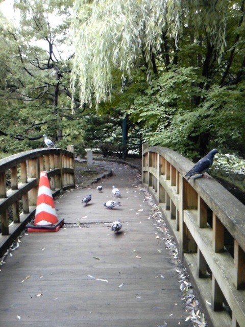 (untitled)