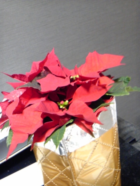 (untitled)