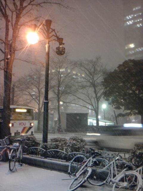 (untitled)