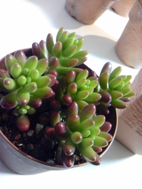 (untitled)