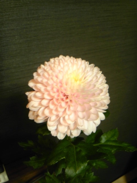 (untitled)