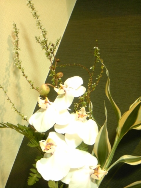 (untitled)