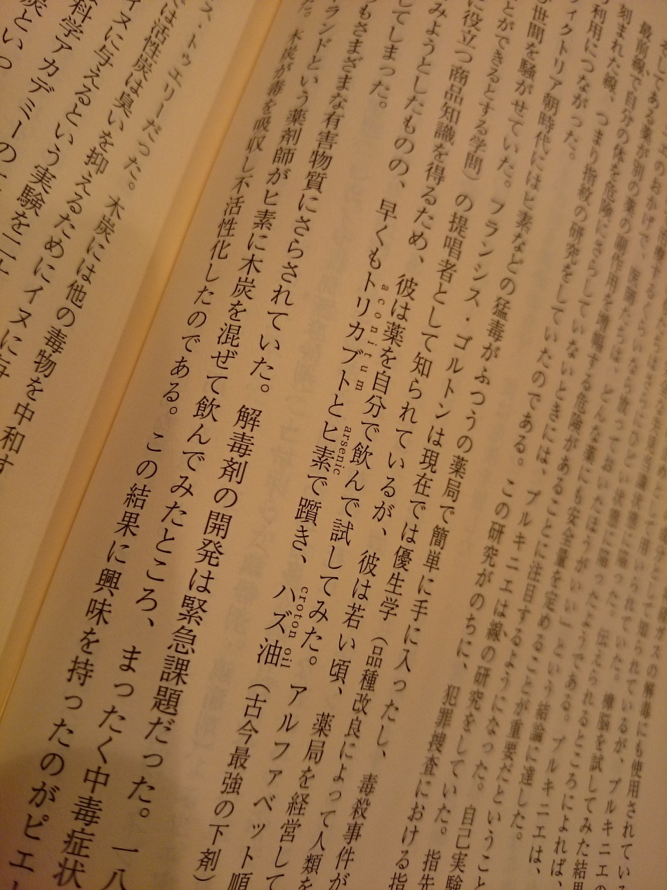 (untitled)
