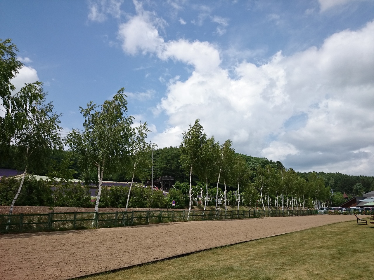 (untitled)