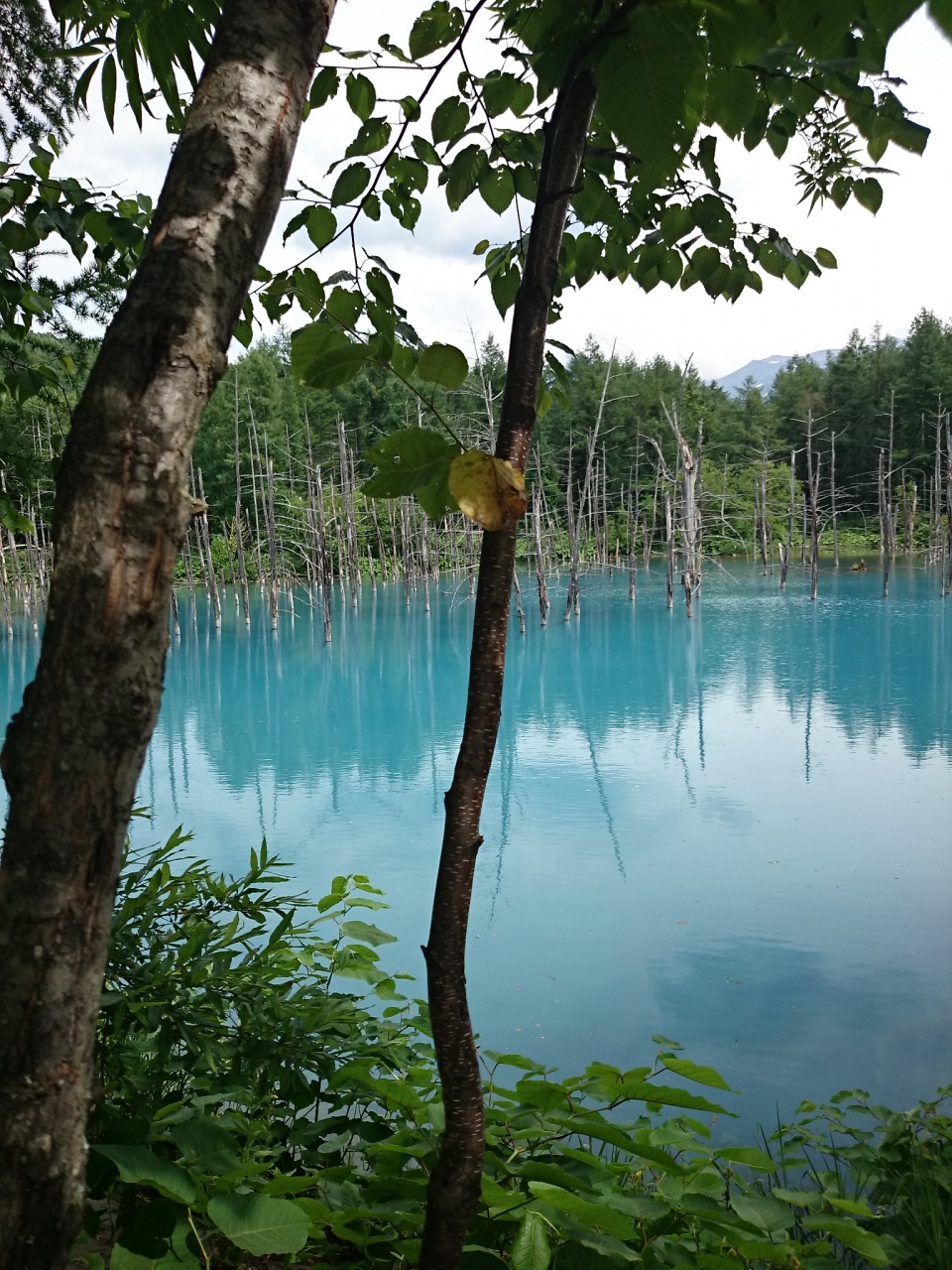(untitled)