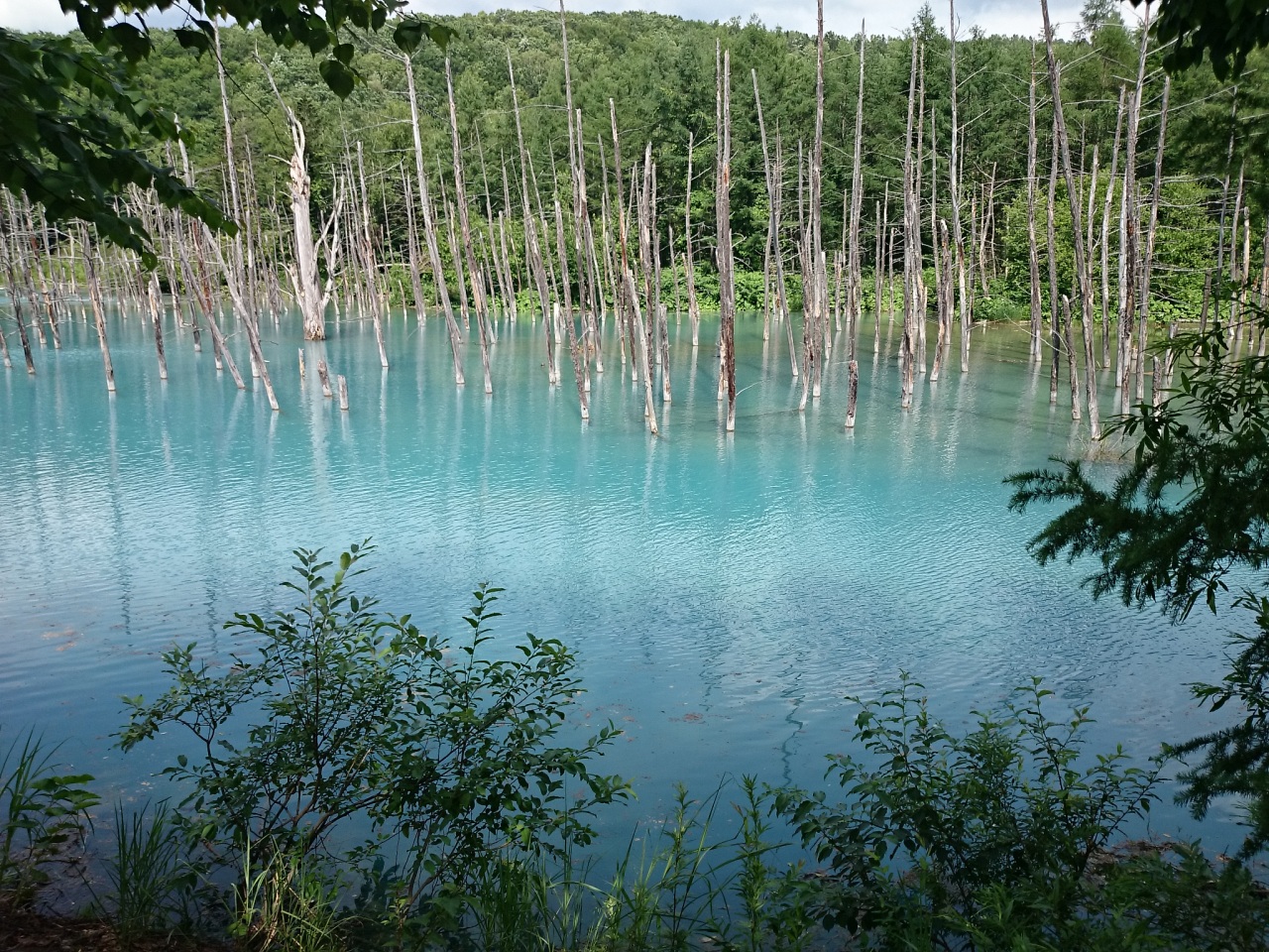 (untitled)