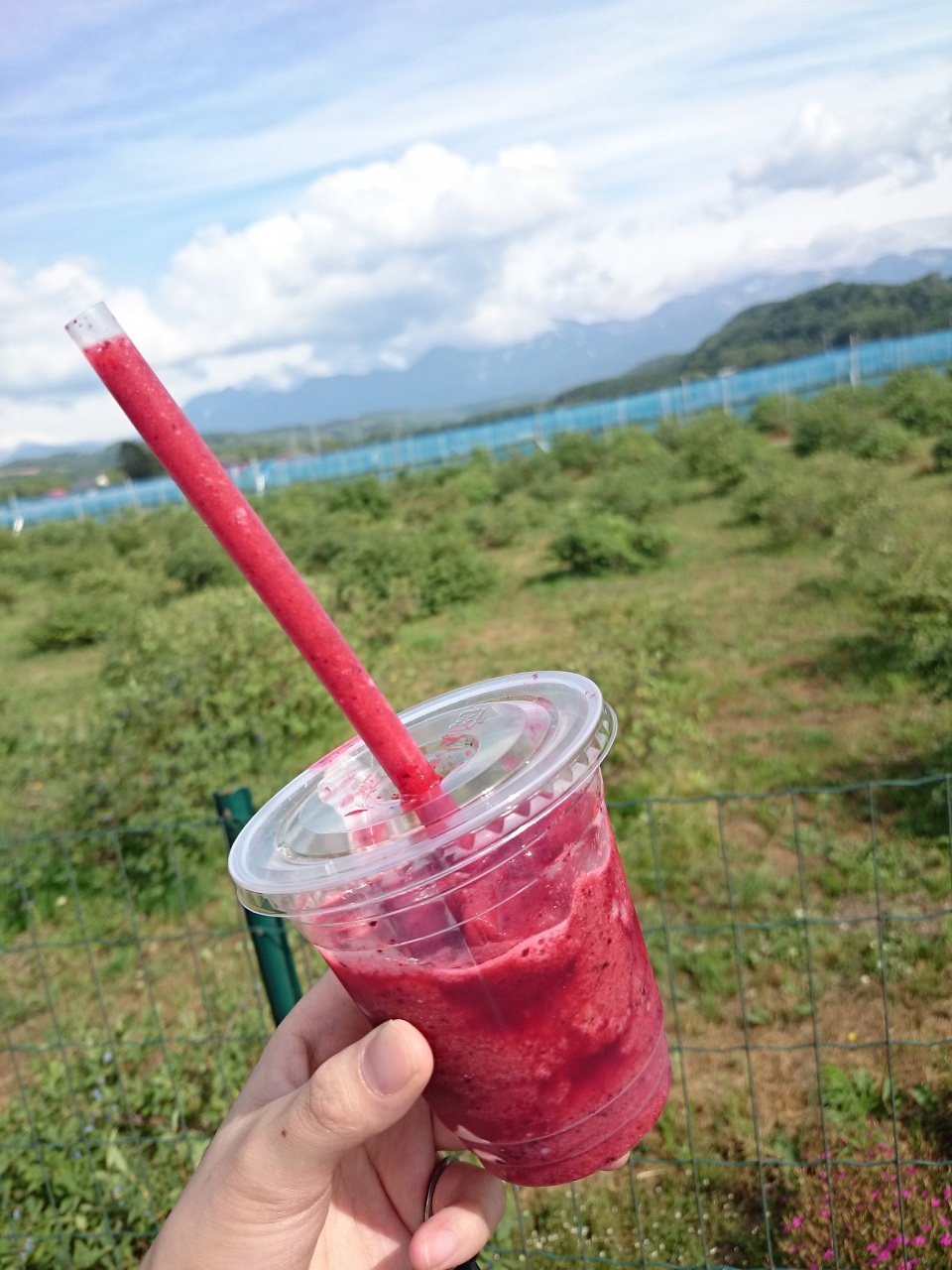 (untitled)