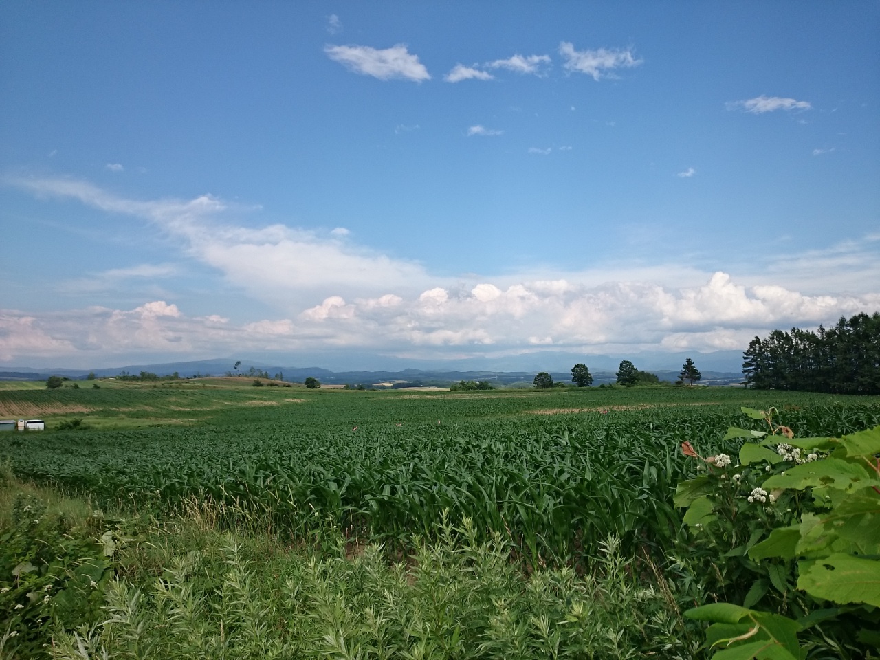 (untitled)