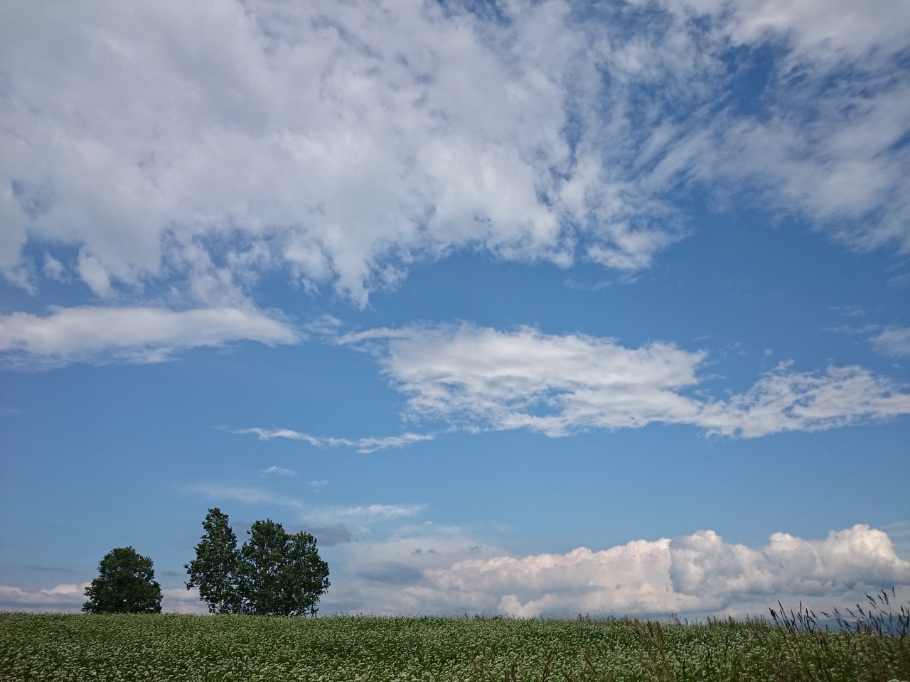 (untitled)