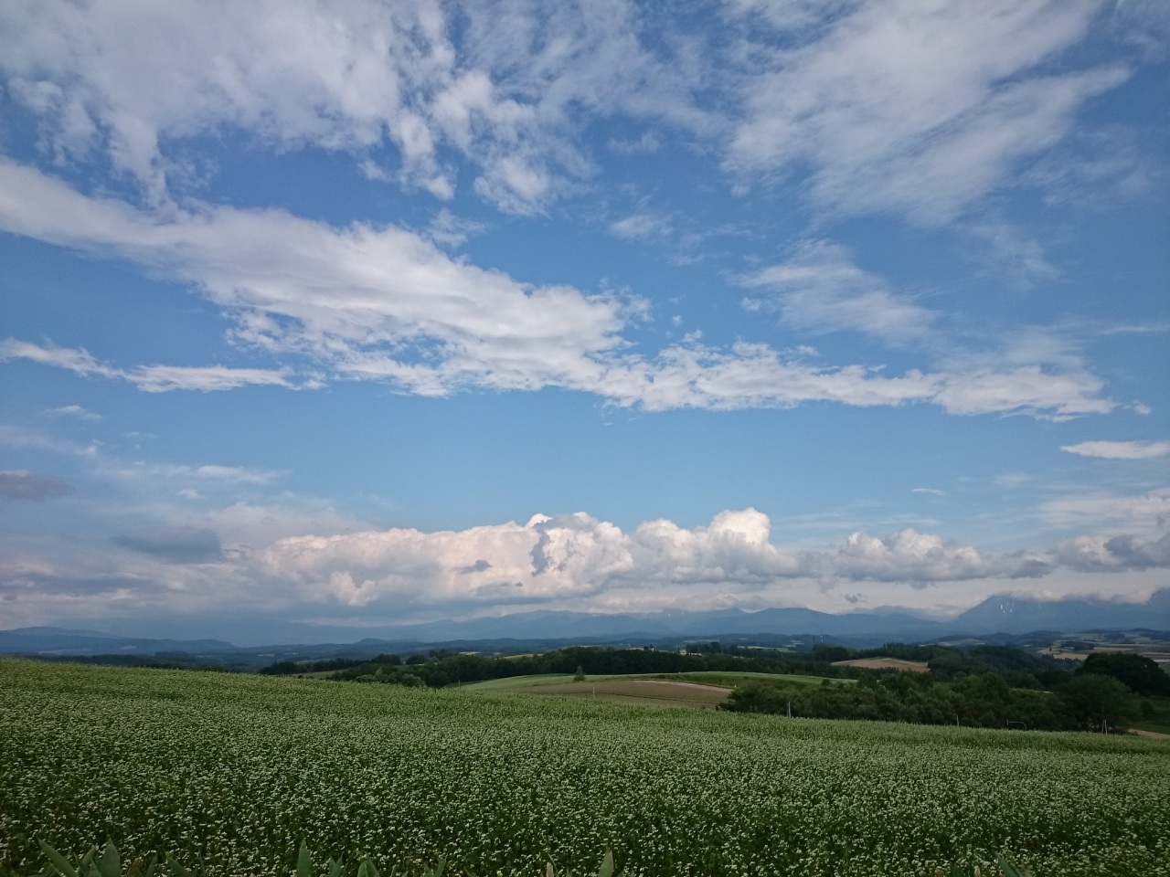 (untitled)