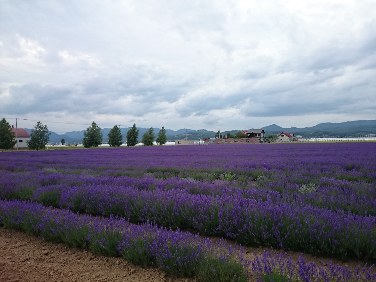 (untitled)