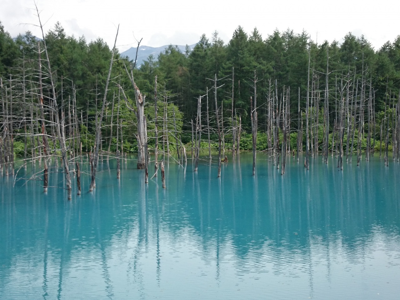 (untitled)