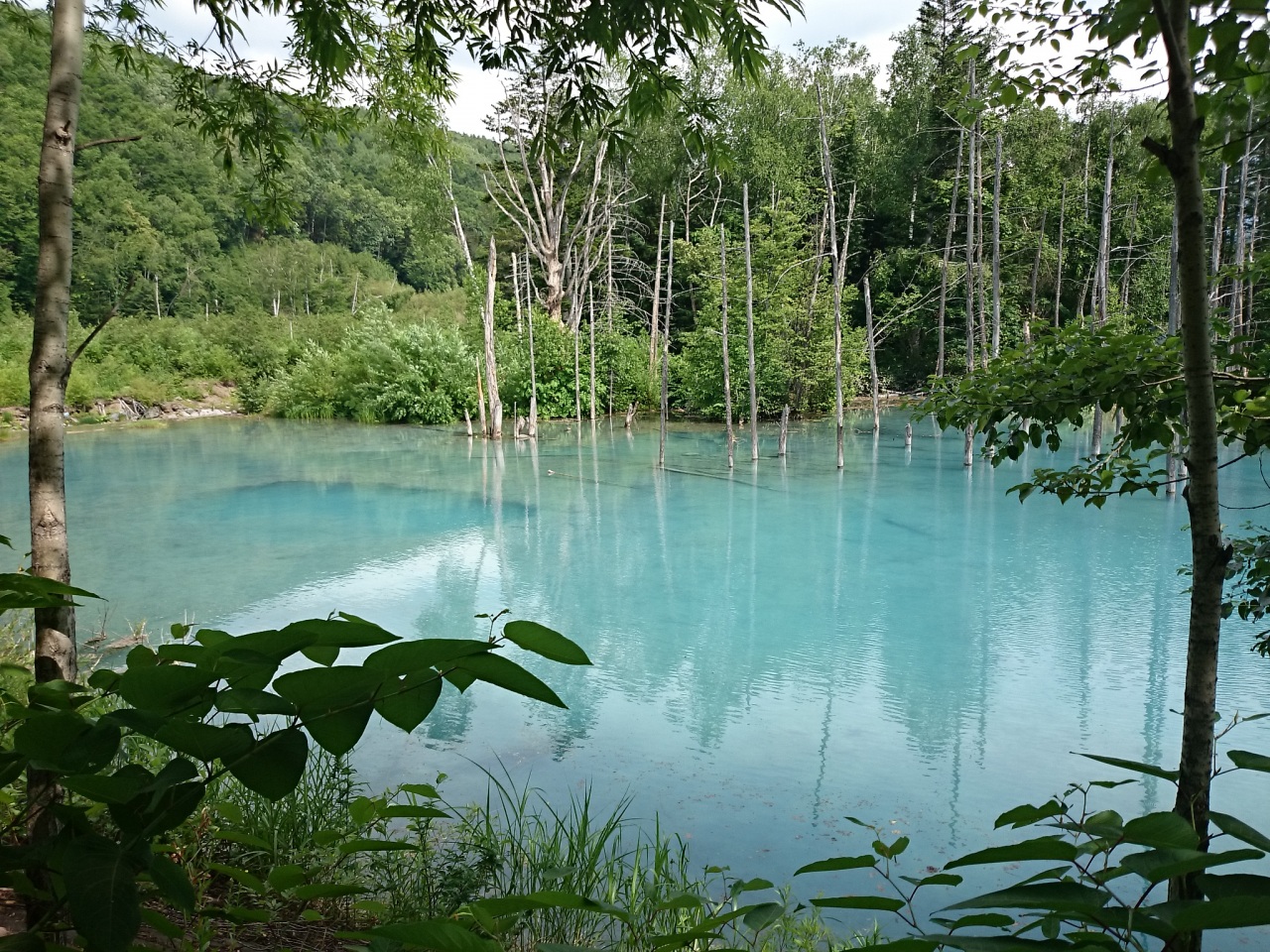 (untitled)