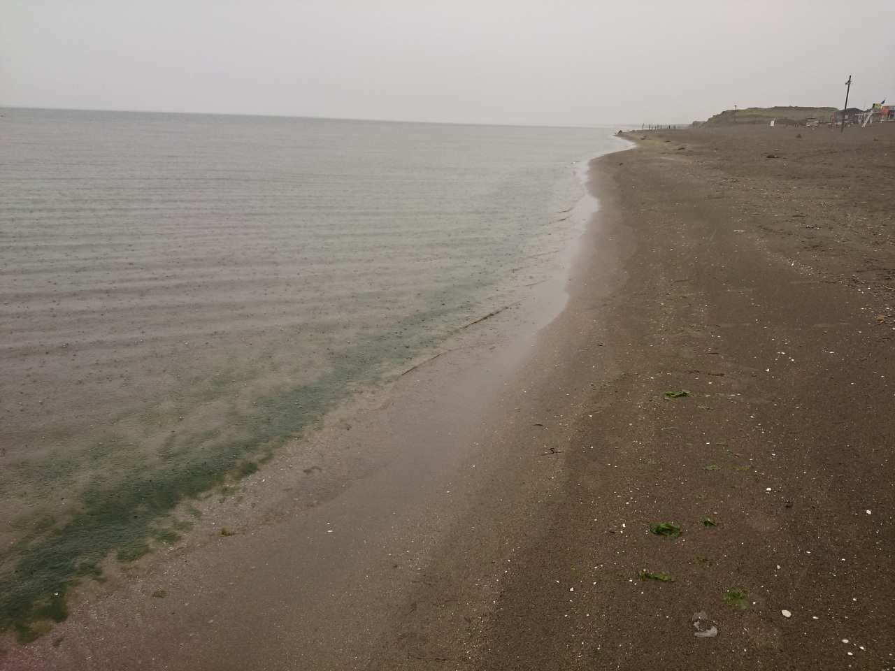 (untitled)